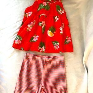 Baby Girls 2 Tops and Bottoms Matching Sets